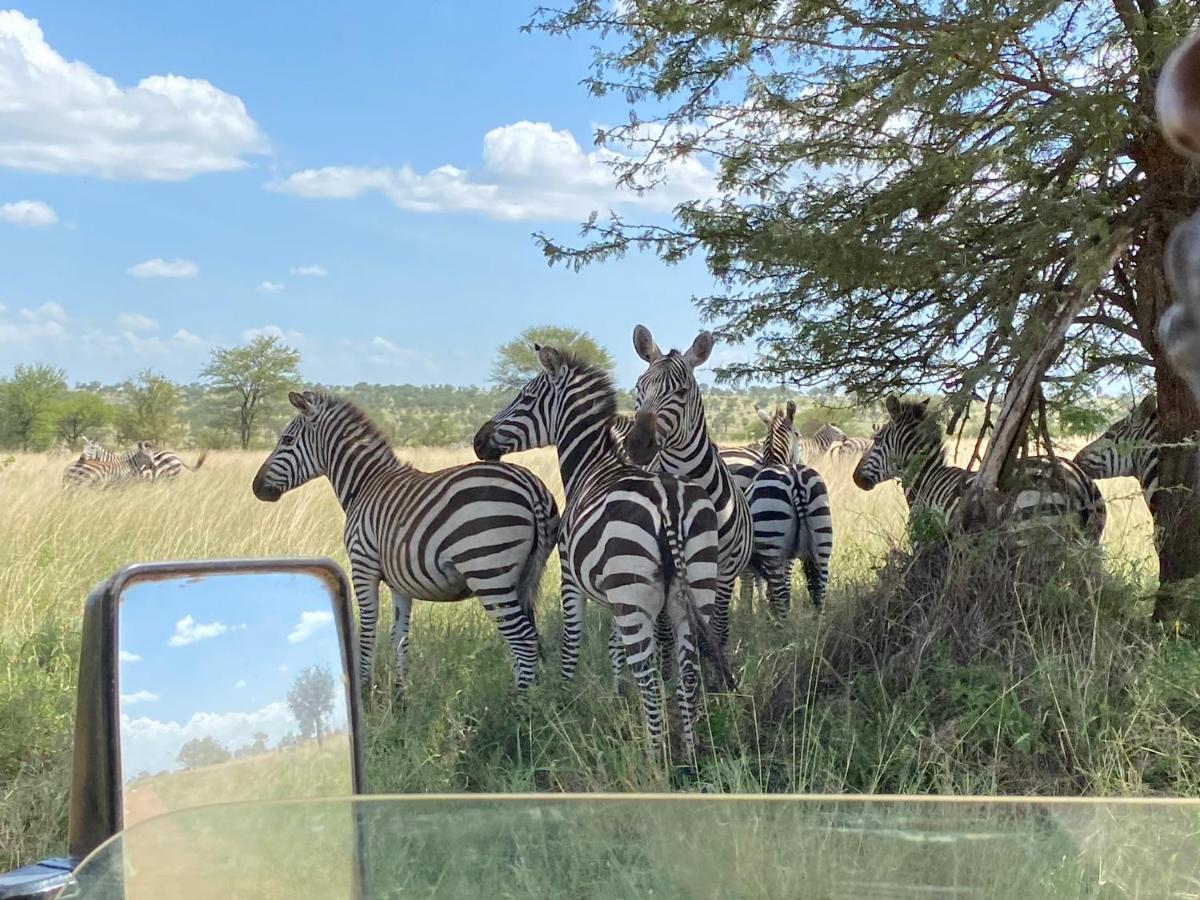 Foresight Eco Lodge & Safari Karatu Dış mekan fotoğraf