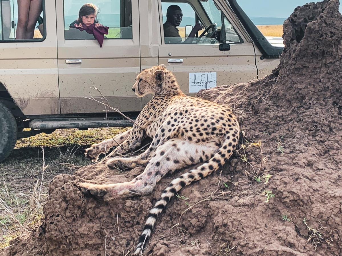 Foresight Eco Lodge & Safari Karatu Dış mekan fotoğraf